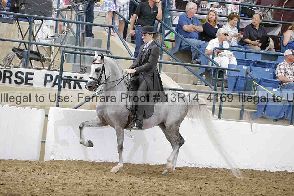Proof Number 13r14_4169