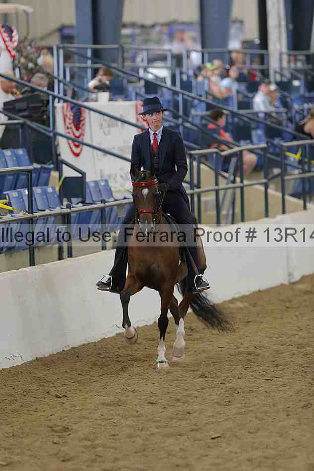 Proof Number 13r14_4174