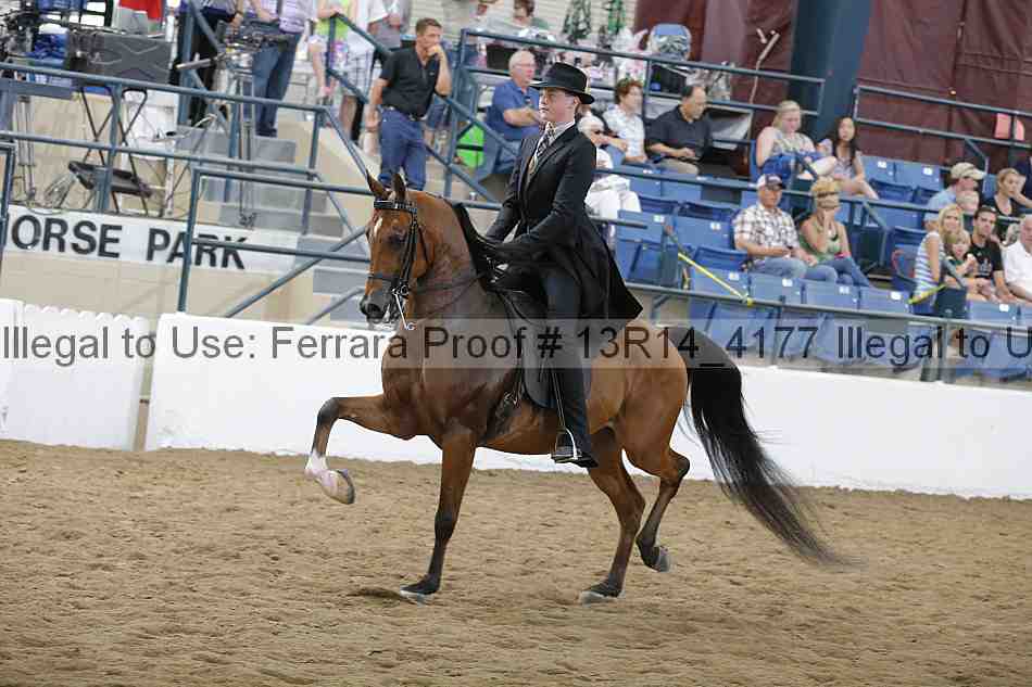 Proof Number 13r14_4177