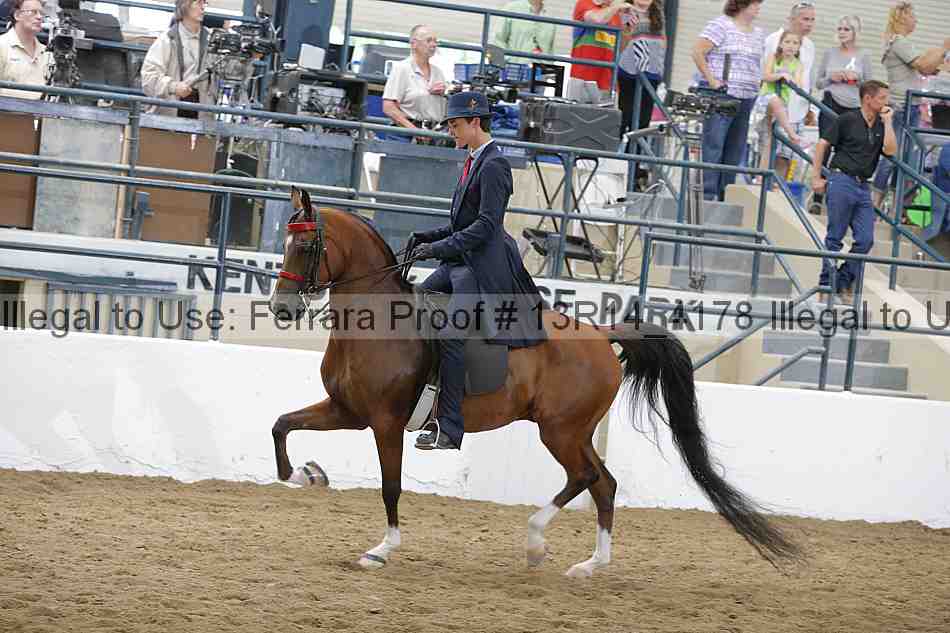 Proof Number 13r14_4178