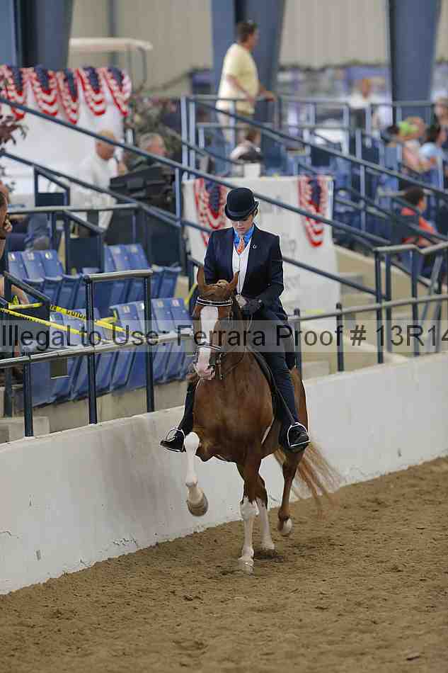 Proof Number 13r14_4180