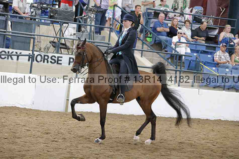 Proof Number 13r14_4182