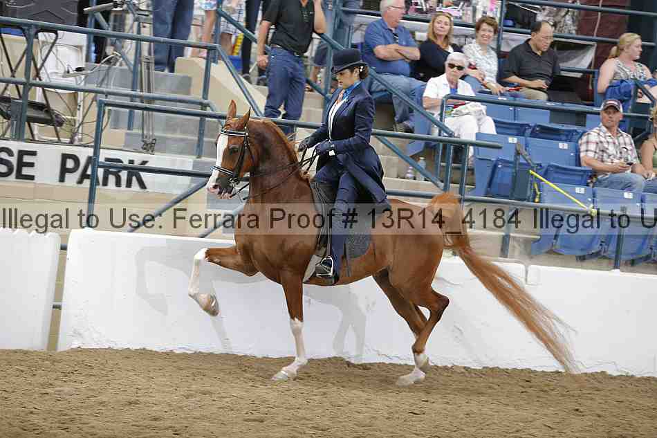 Proof Number 13r14_4184