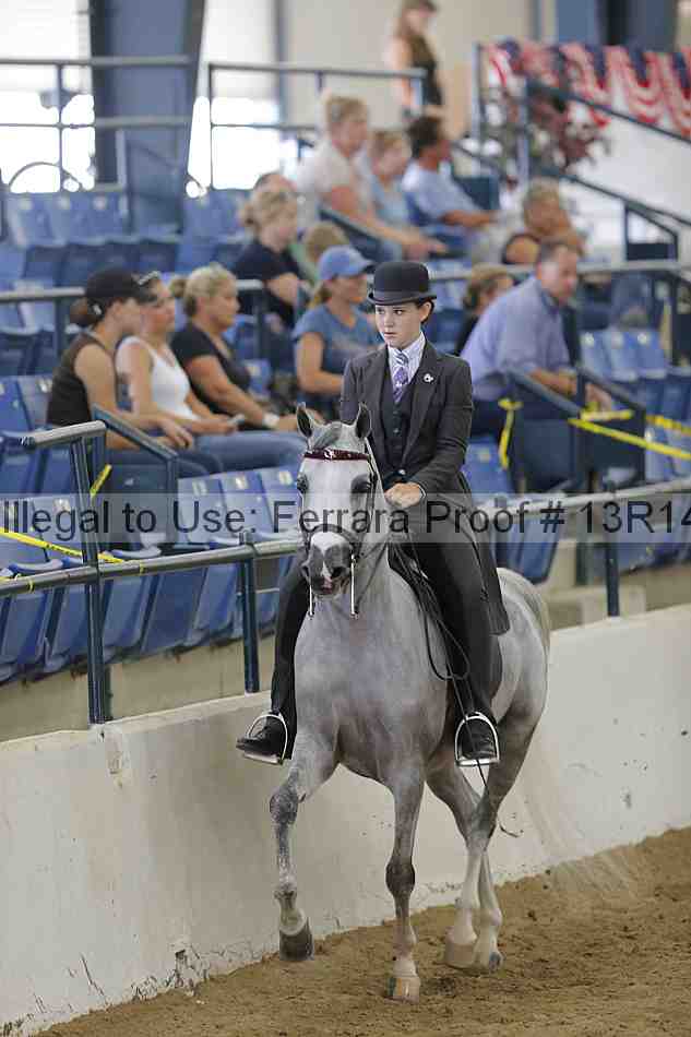 Proof Number 13r14_4185