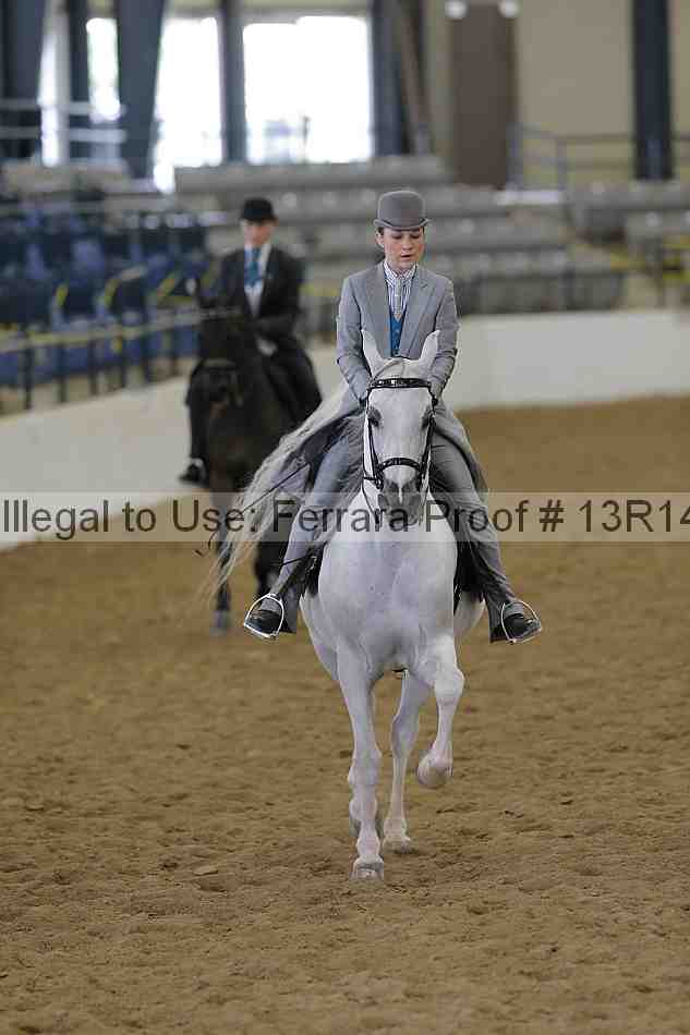 Proof Number 13r14_4186