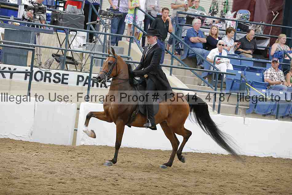 Proof Number 13r14_4187