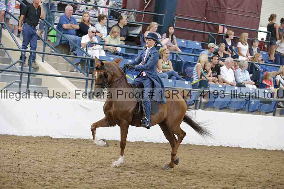 Proof Number 13r14_4193