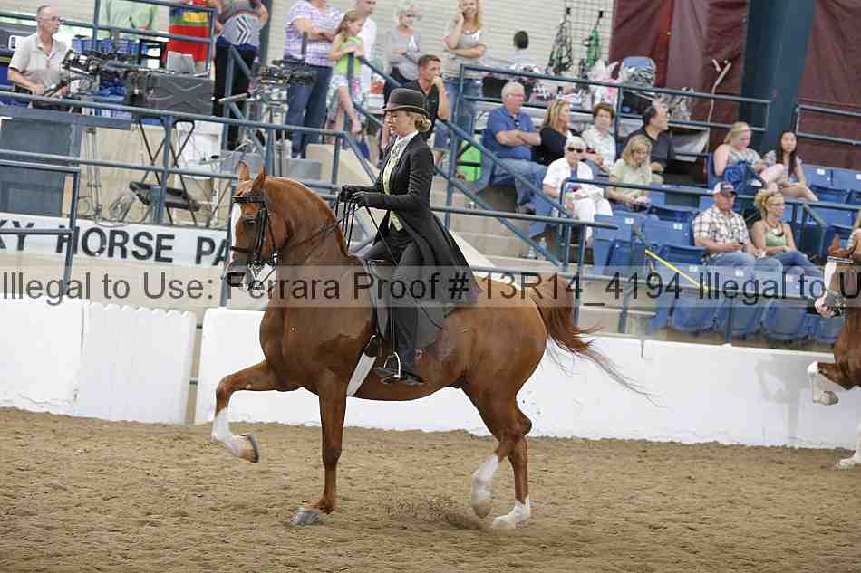 Proof Number 13r14_4194