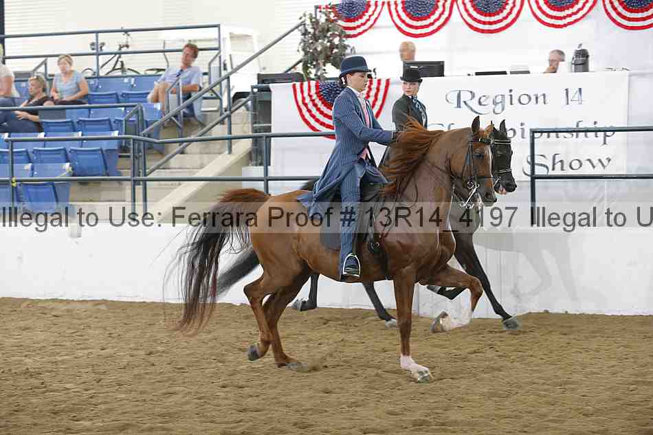 Proof Number 13r14_4197