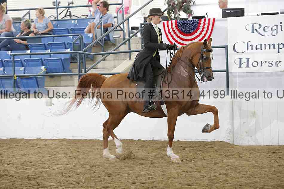 Proof Number 13r14_4199