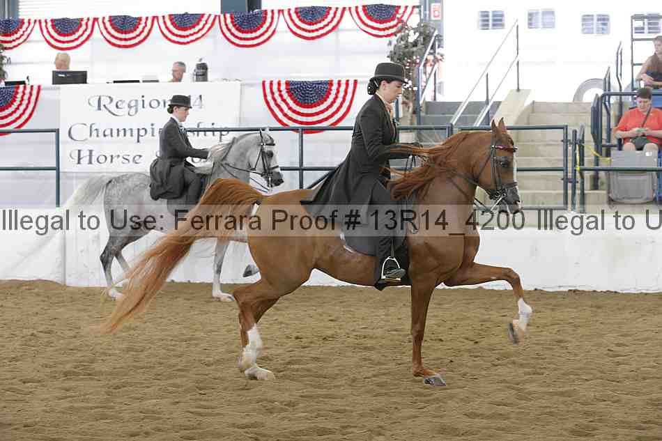 Proof Number 13r14_4200
