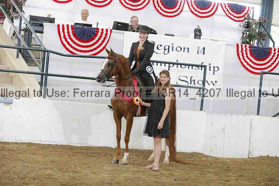 Proof Number 13r14_4207