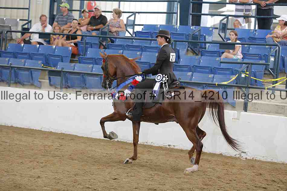 Proof Number 13r14_4210