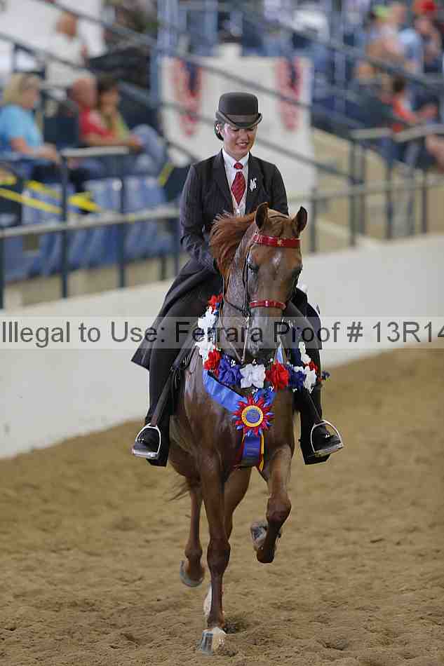 Proof Number 13r14_4211