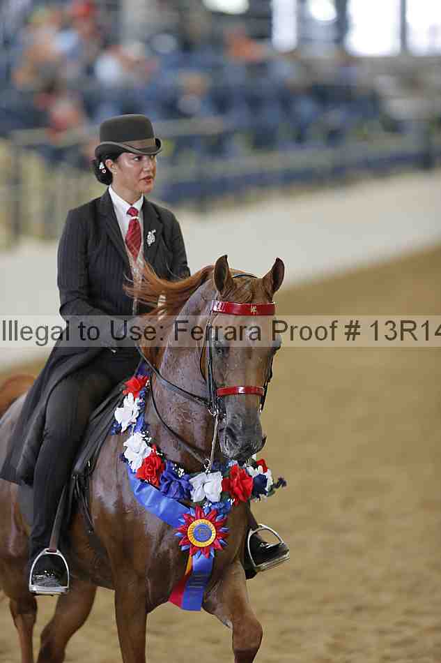 Proof Number 13r14_4212