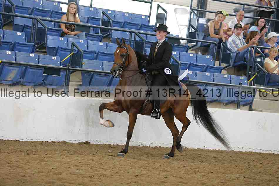 Proof Number 13r14_4213