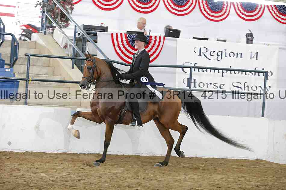 Proof Number 13r14_4215
