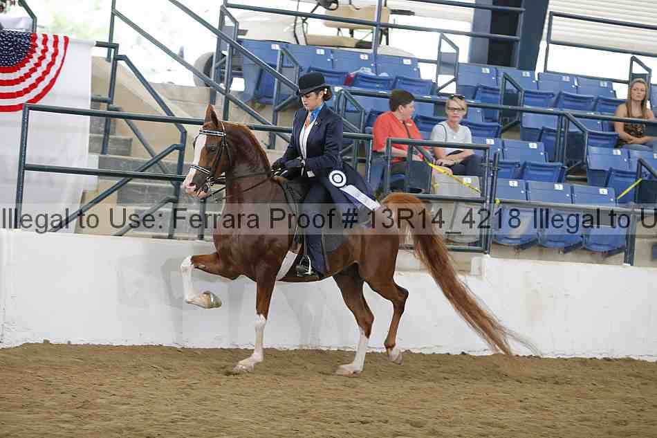 Proof Number 13r14_4218