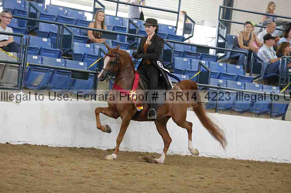 Proof Number 13r14_4223