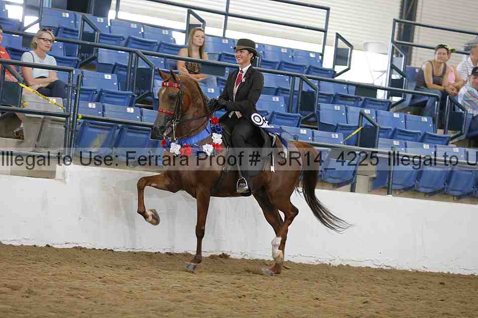 Proof Number 13r14_4225
