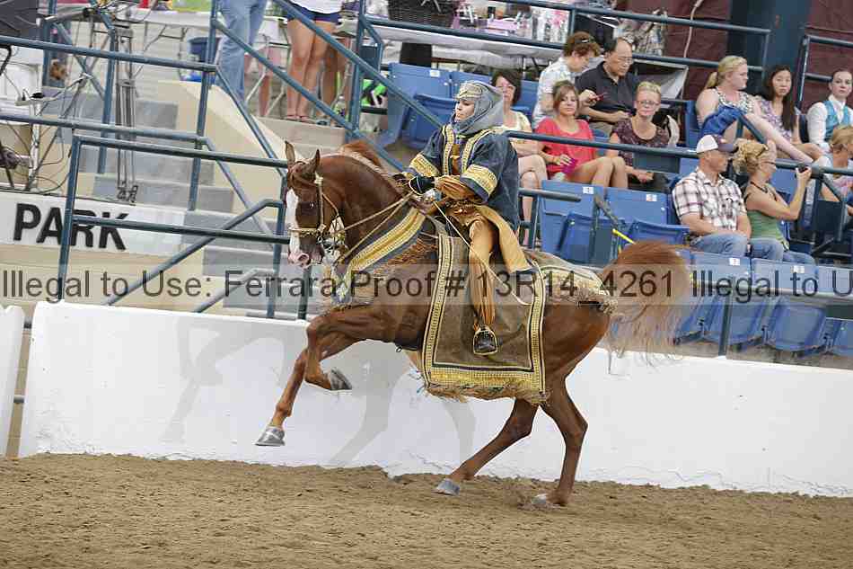 Proof Number 13r14_4261