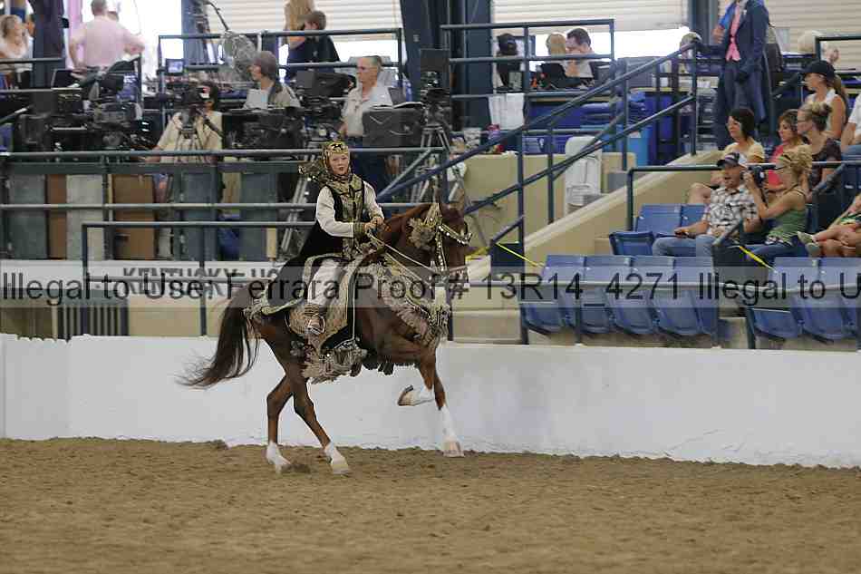 Proof Number 13r14_4271