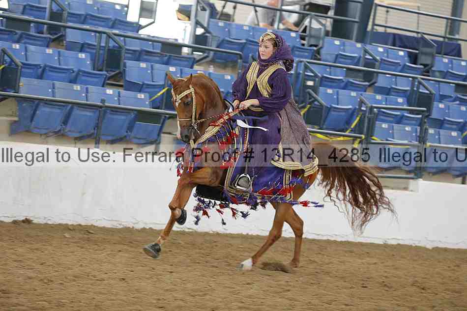 Proof Number 13r14_4285