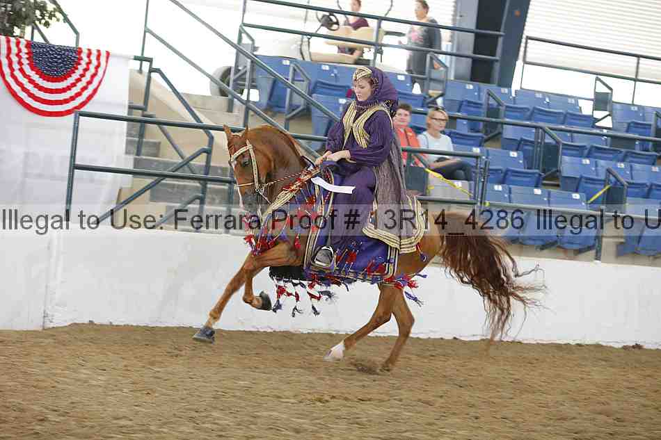 Proof Number 13r14_4286