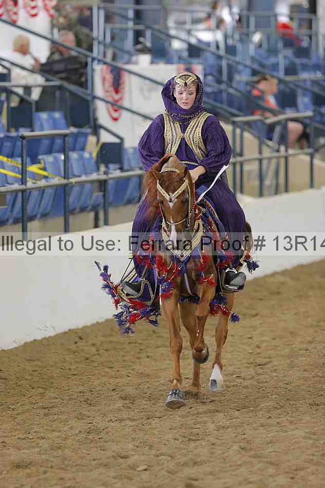 Proof Number 13r14_4288