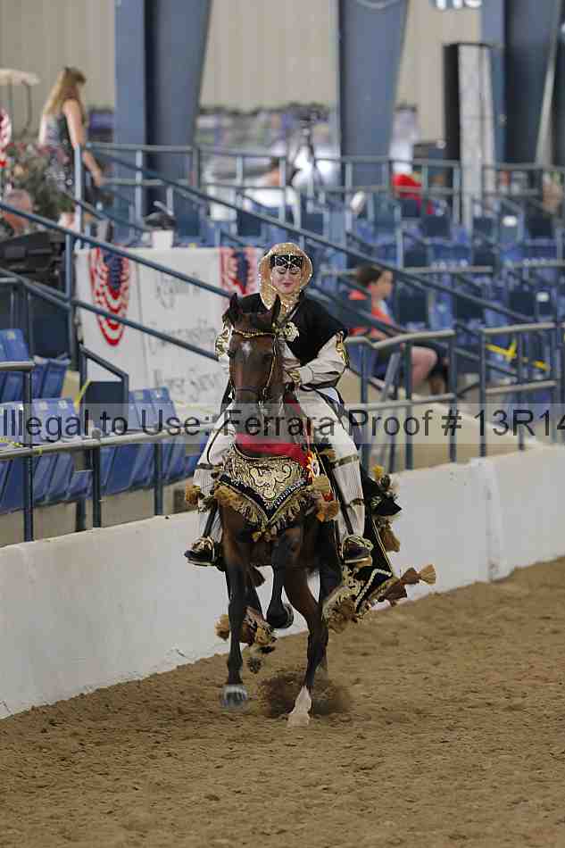 Proof Number 13r14_4292