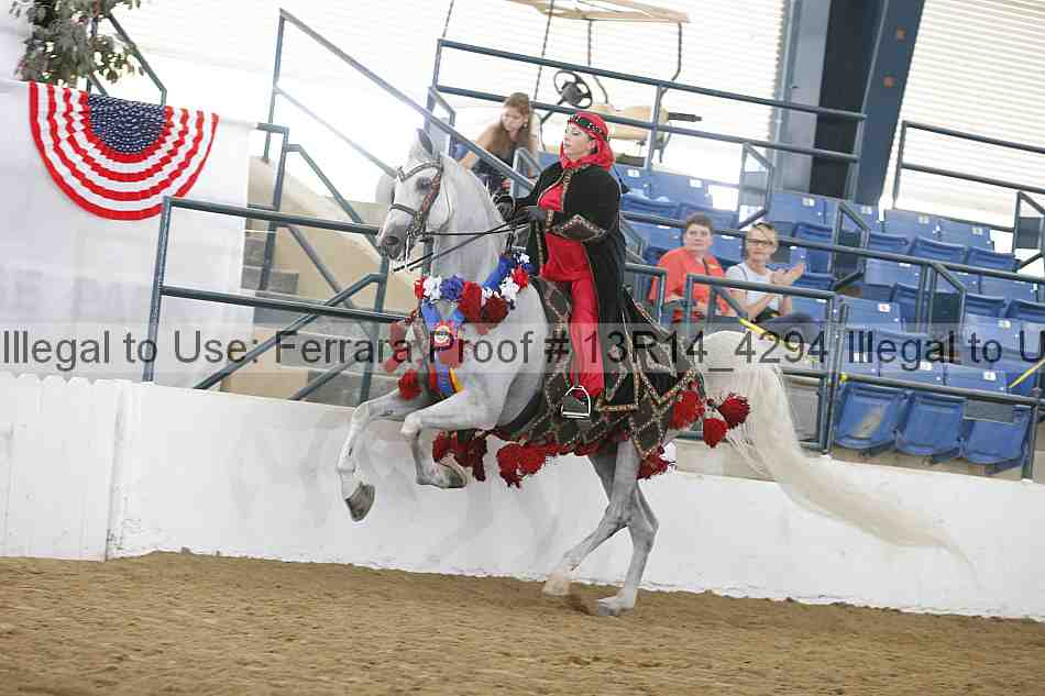 Proof Number 13r14_4294