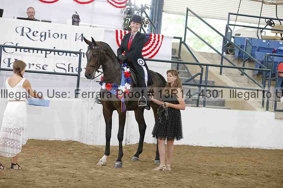 Proof Number 13r14_4301