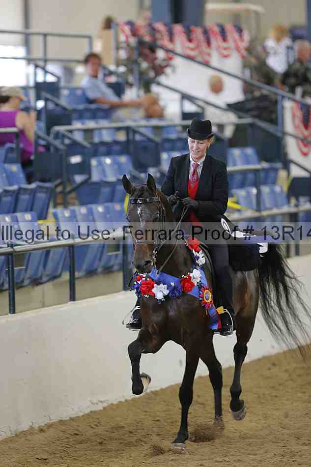 Proof Number 13r14_4307