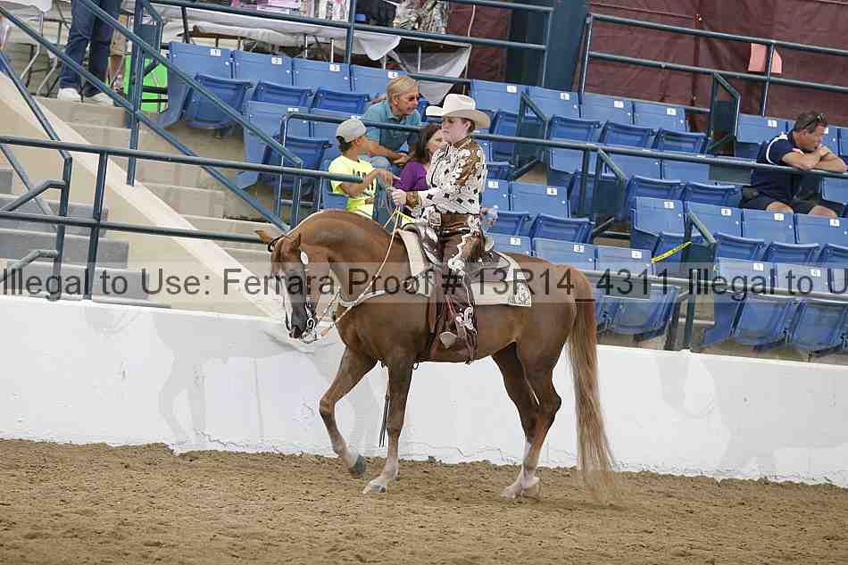 Proof Number 13r14_4311