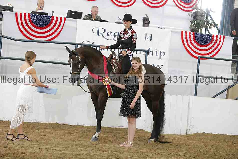 Proof Number 13r14_4317