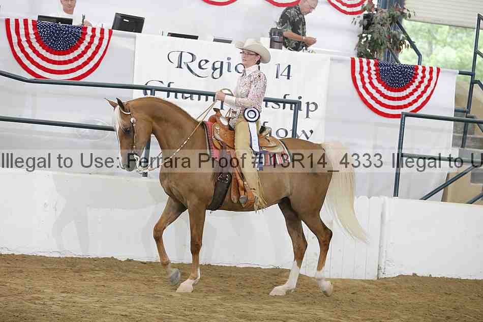 Proof Number 13r14_4333
