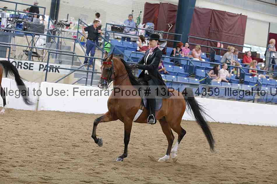Proof Number 13r14_4359