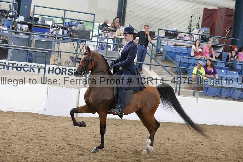 Proof Number 13r14_4376