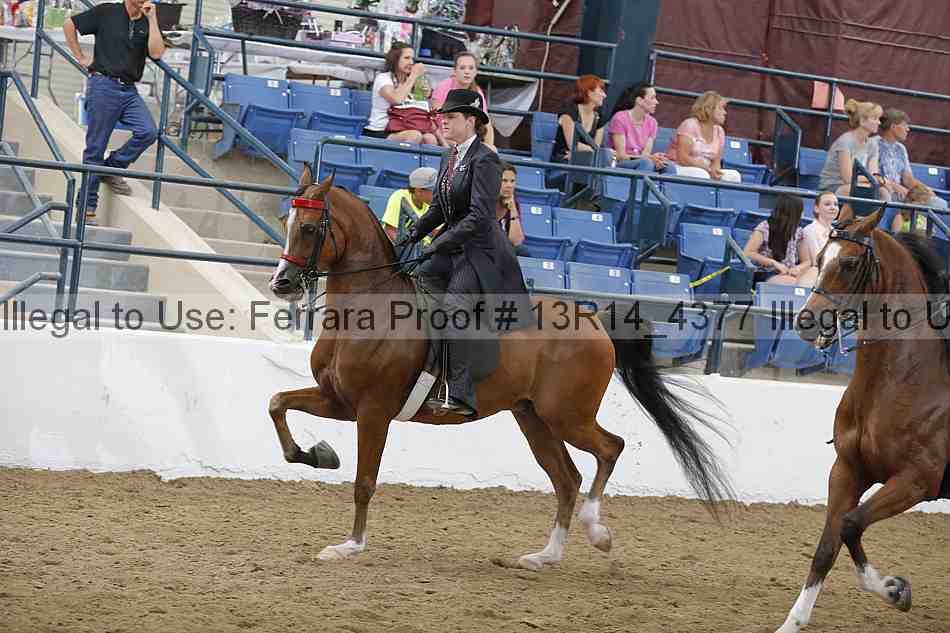 Proof Number 13r14_4377