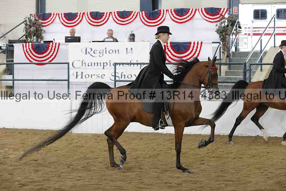 Proof Number 13r14_4383