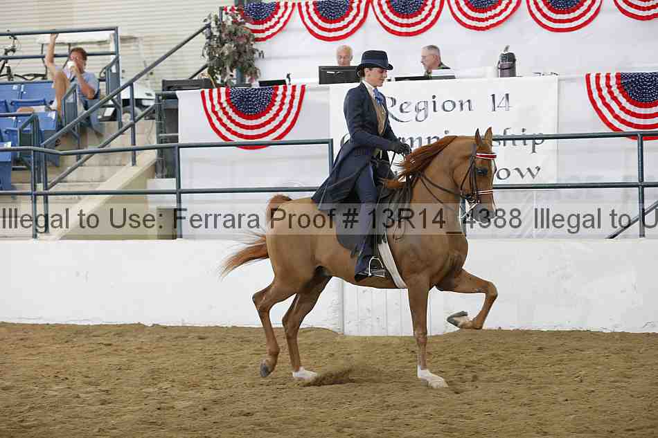 Proof Number 13r14_4388