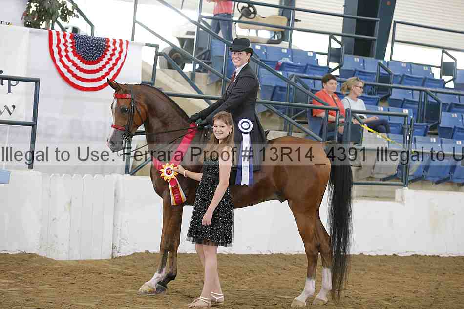 Proof Number 13r14_4391