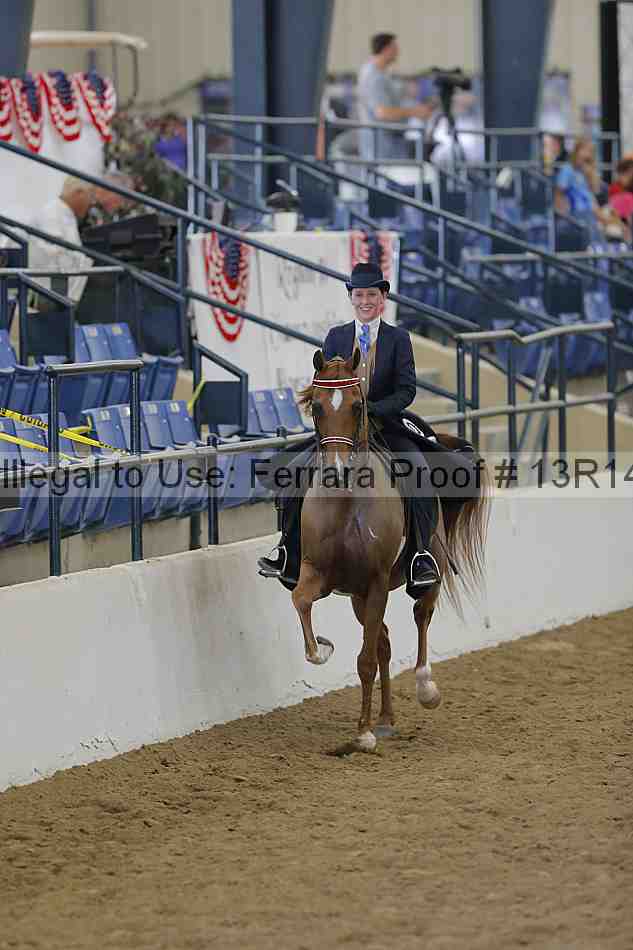 Proof Number 13r14_4396