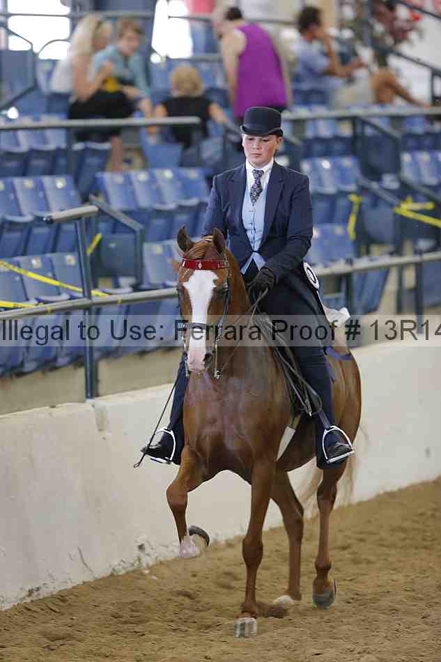 Proof Number 13r14_4399