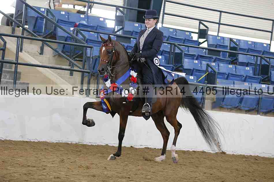 Proof Number 13r14_4405