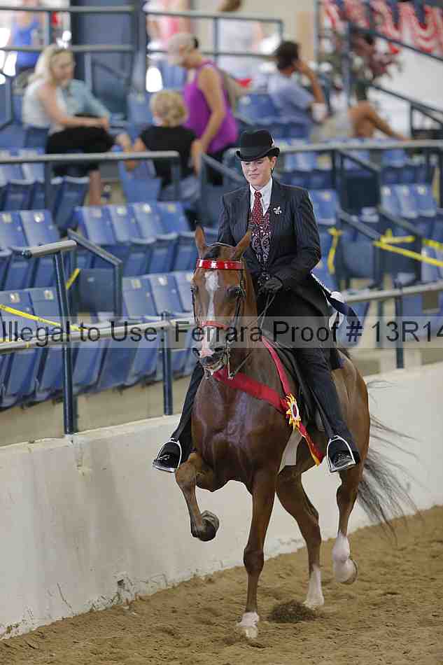 Proof Number 13r14_4406