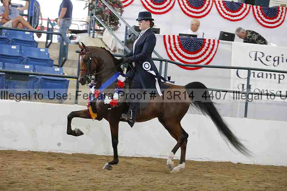 Proof Number 13r14_4407