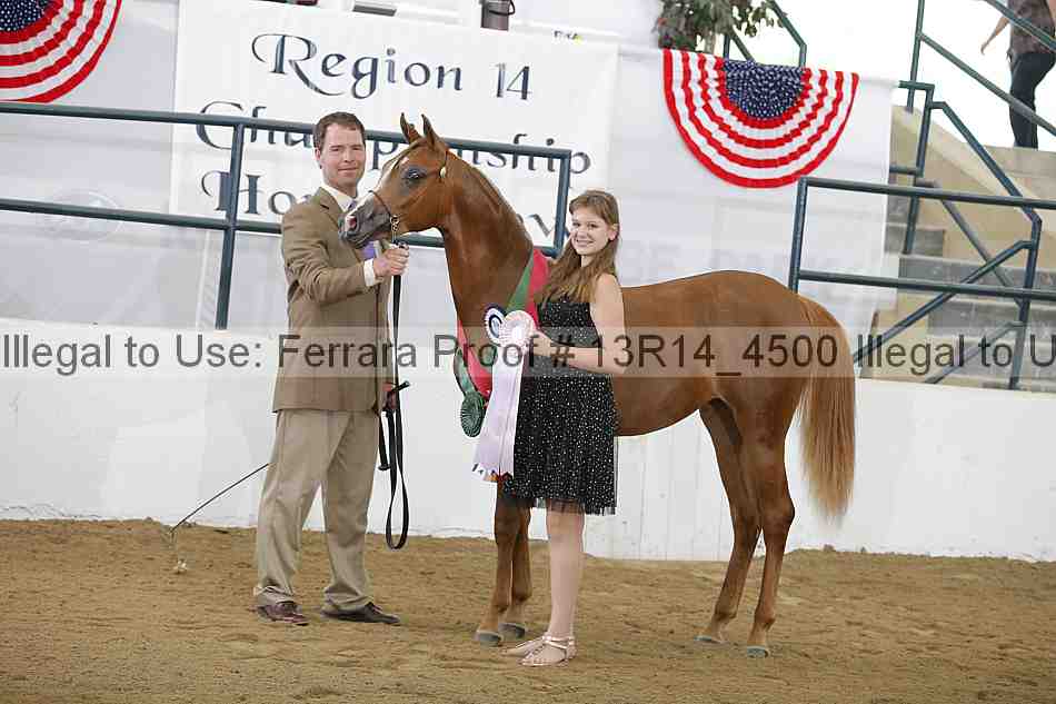Proof Number 13r14_4500