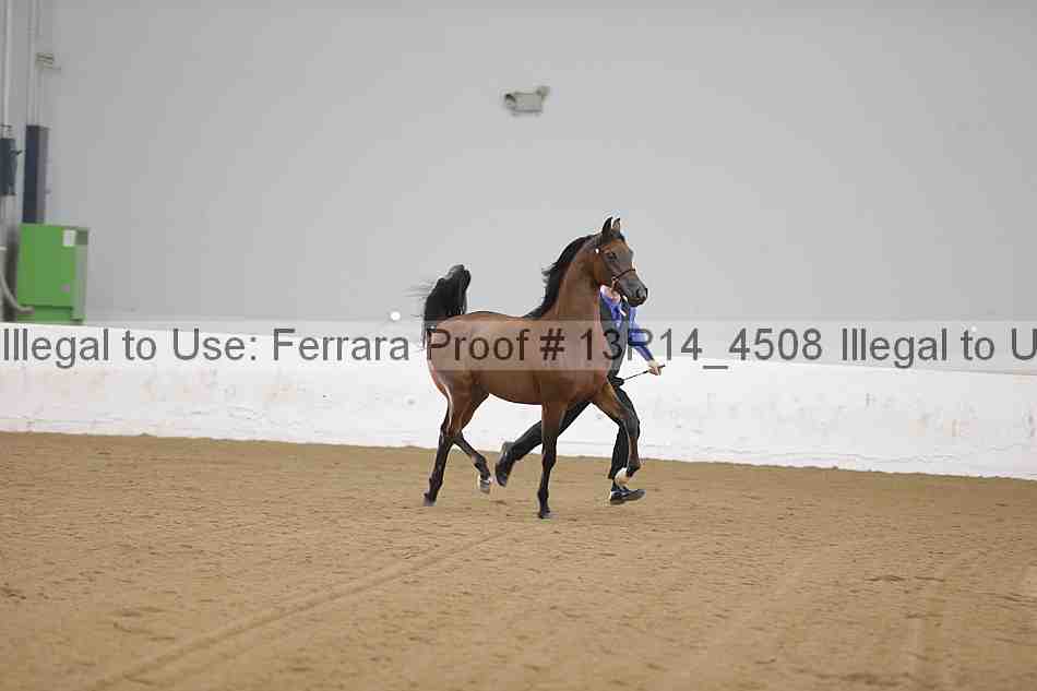 Proof Number 13r14_4508