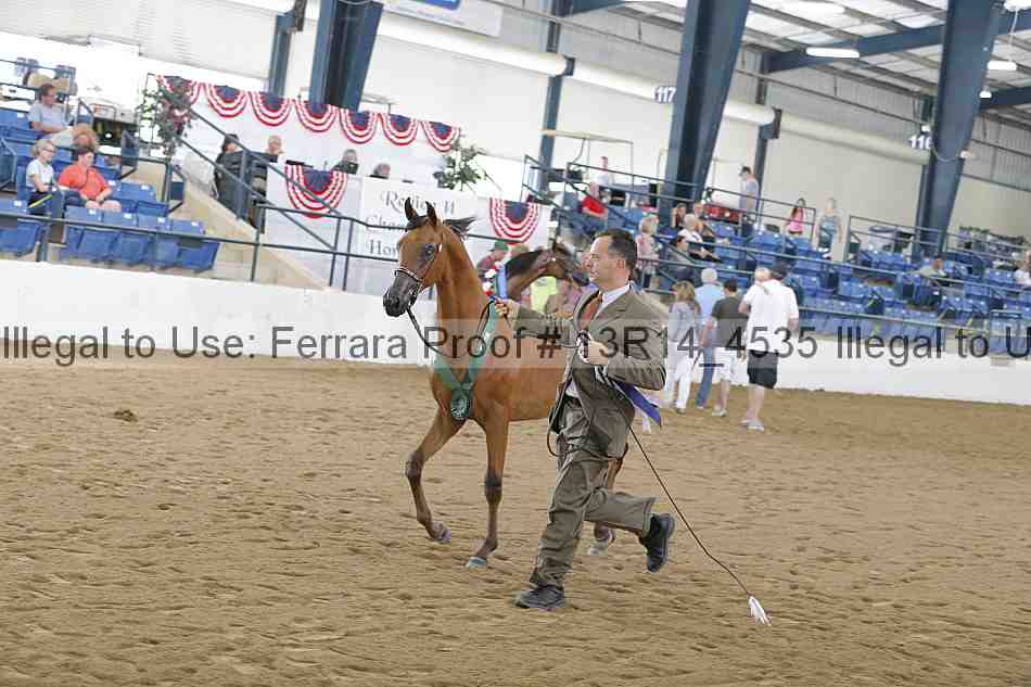Proof Number 13r14_4535